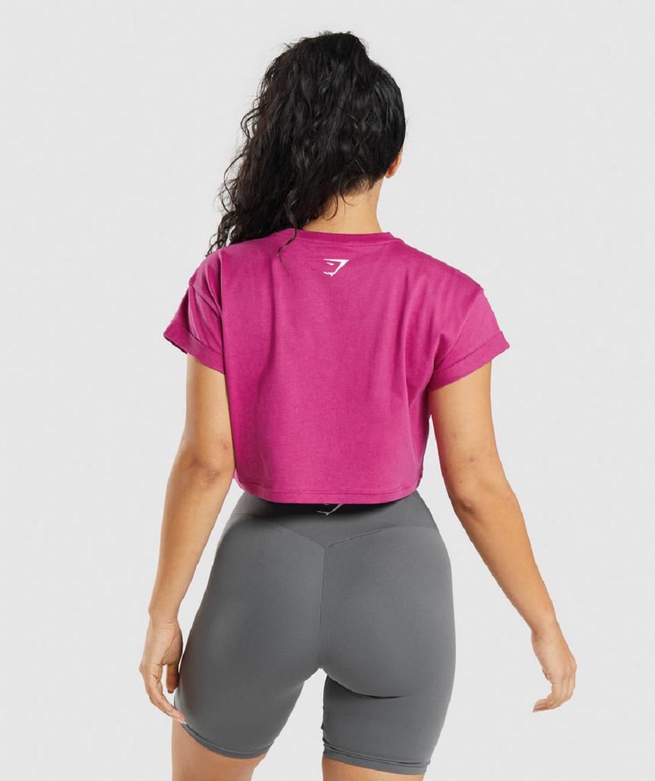 Corp Tops Gymshark Fraction Mujer Rosas | CO 2454NWY